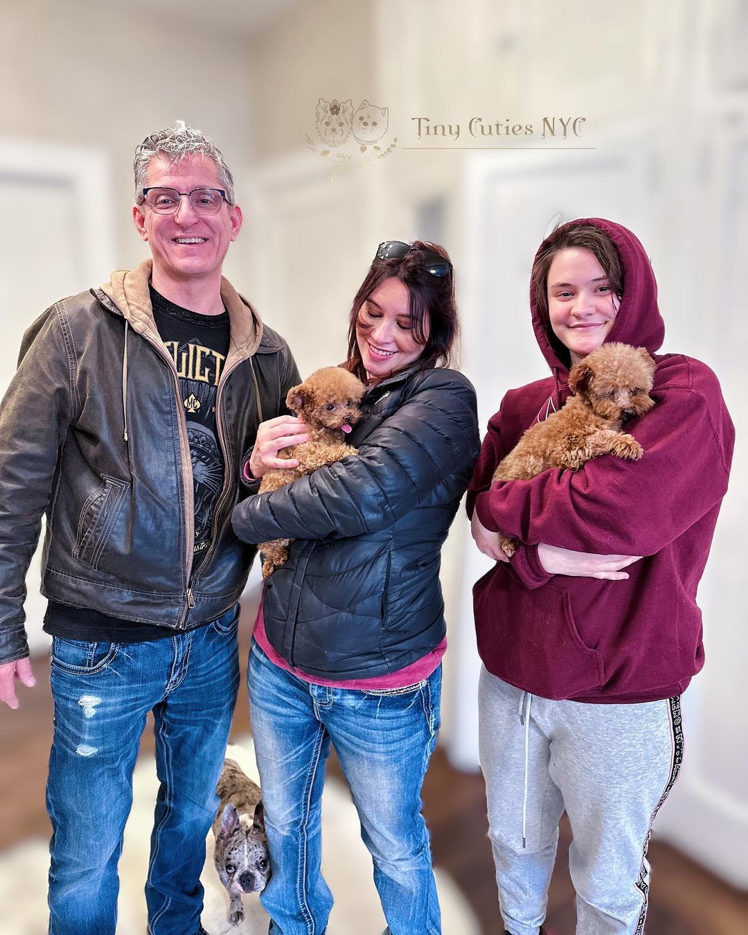 Teacup Poodle — Astronia Queens, NY — Tiny Cuties NYC