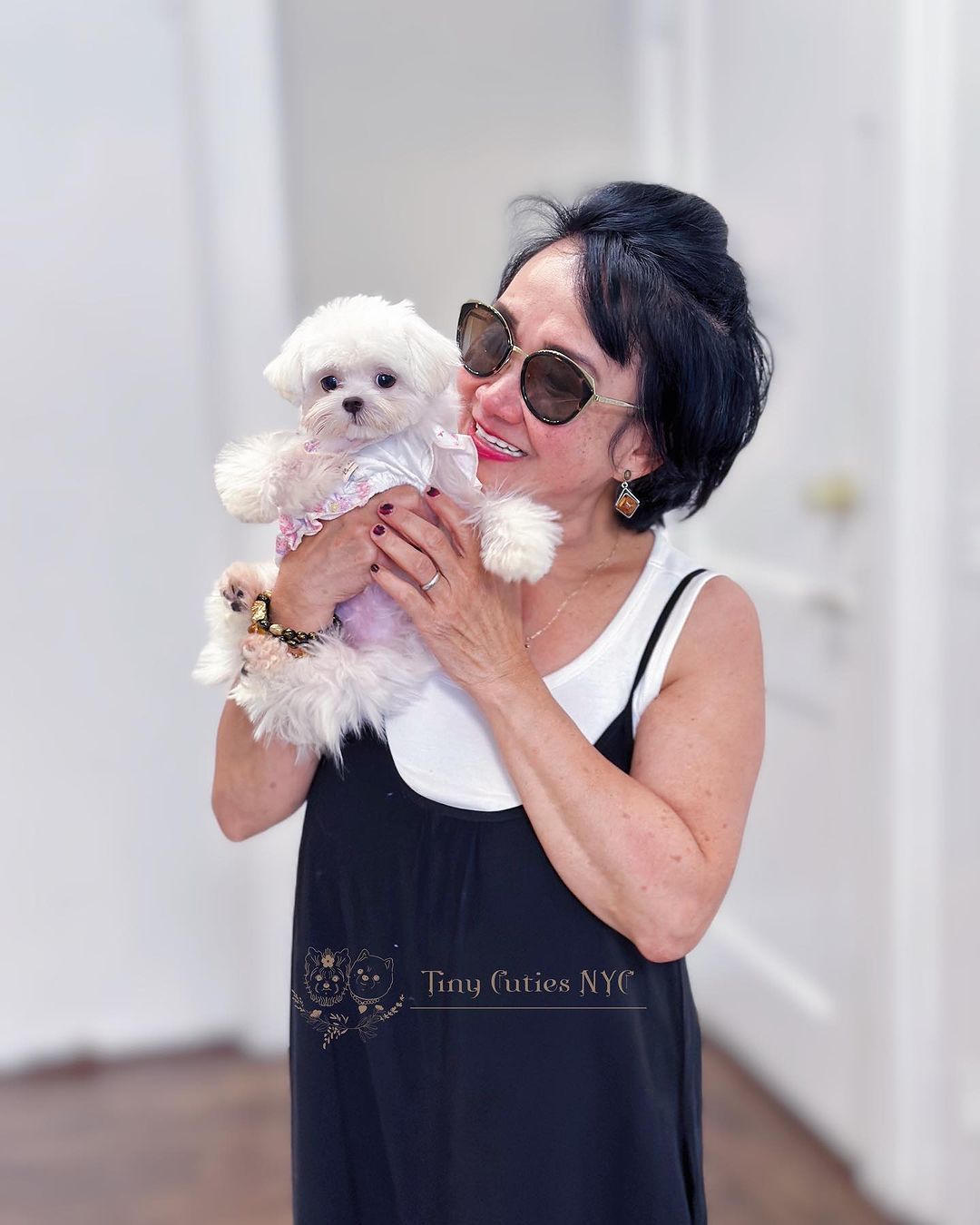 Micro Teacup Maltese — Astronia Queens, NY — Tiny Cuties NYC