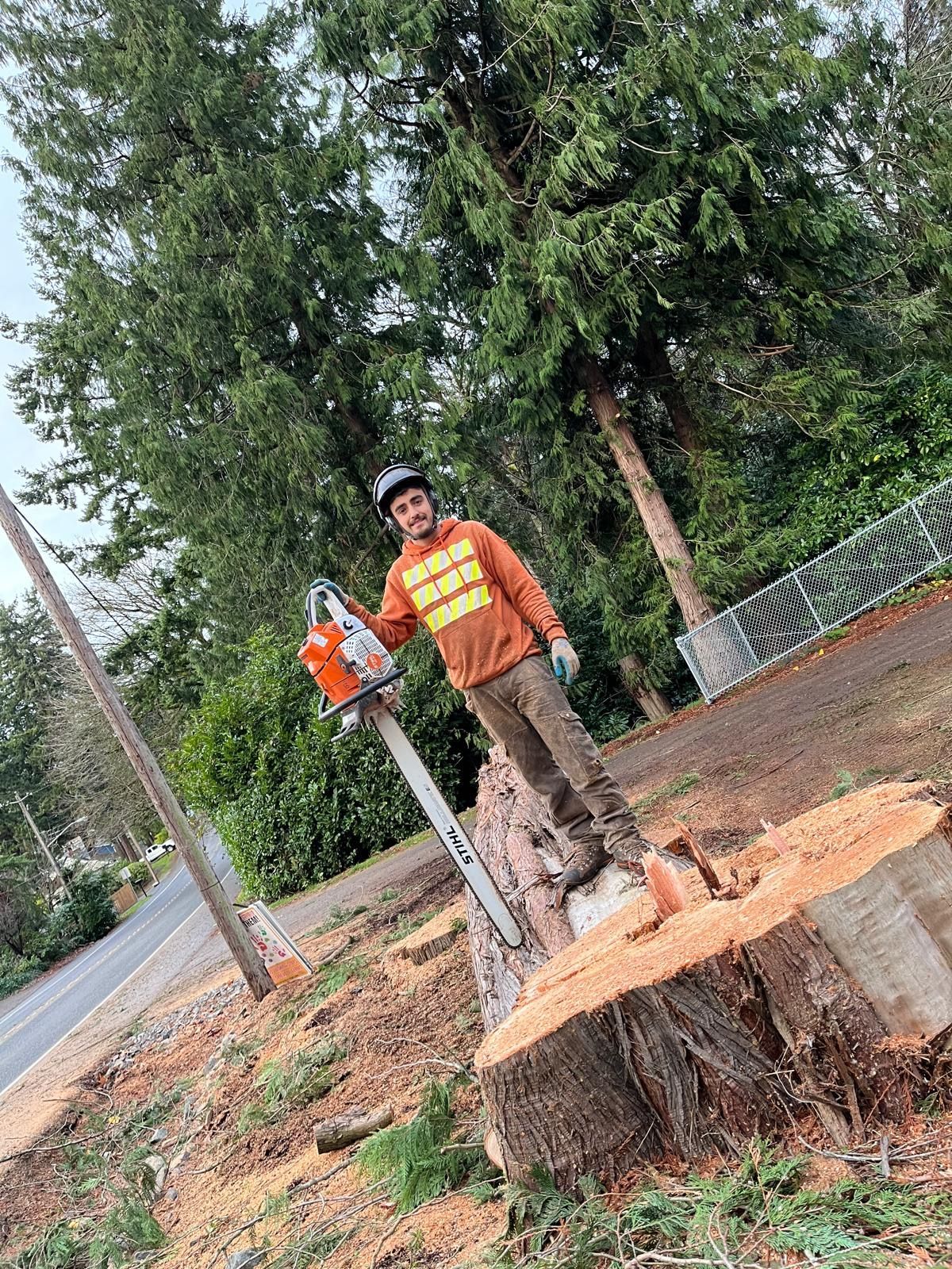 A person in a helmet and orange hoodie stands on a large, freshly cut tree stump holding a chainsaw in an outdoor area.