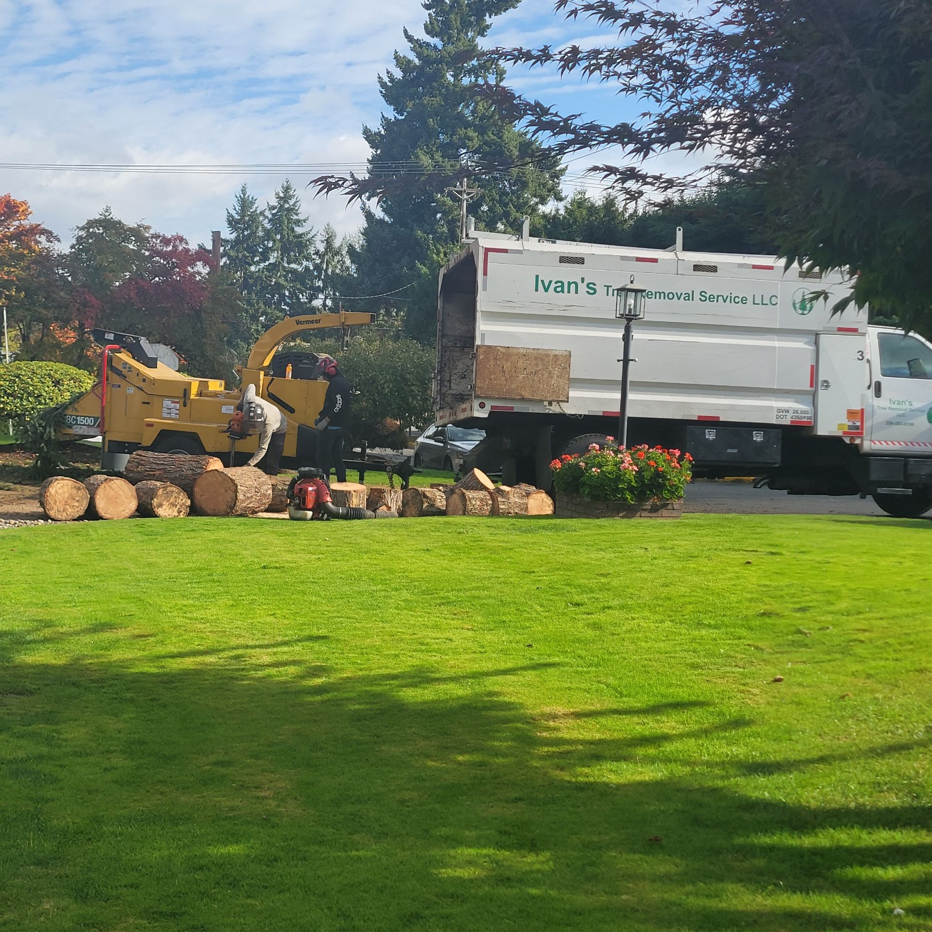 Workers use a wood chipper to process logs next to a white truck labeled Ivan’s in a green lawn setting.