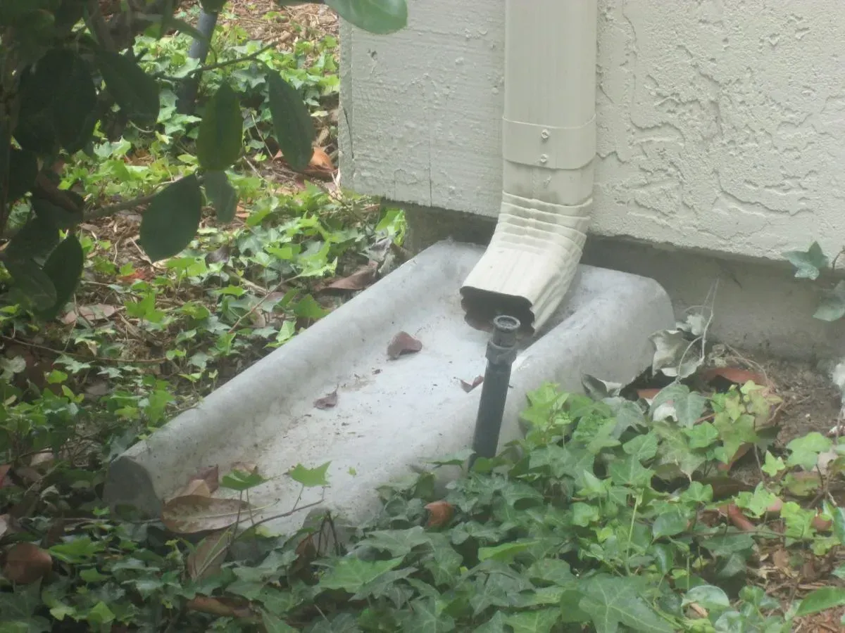 White downspout draining into a concrete splash block beside a house wall, surrounded by greenery