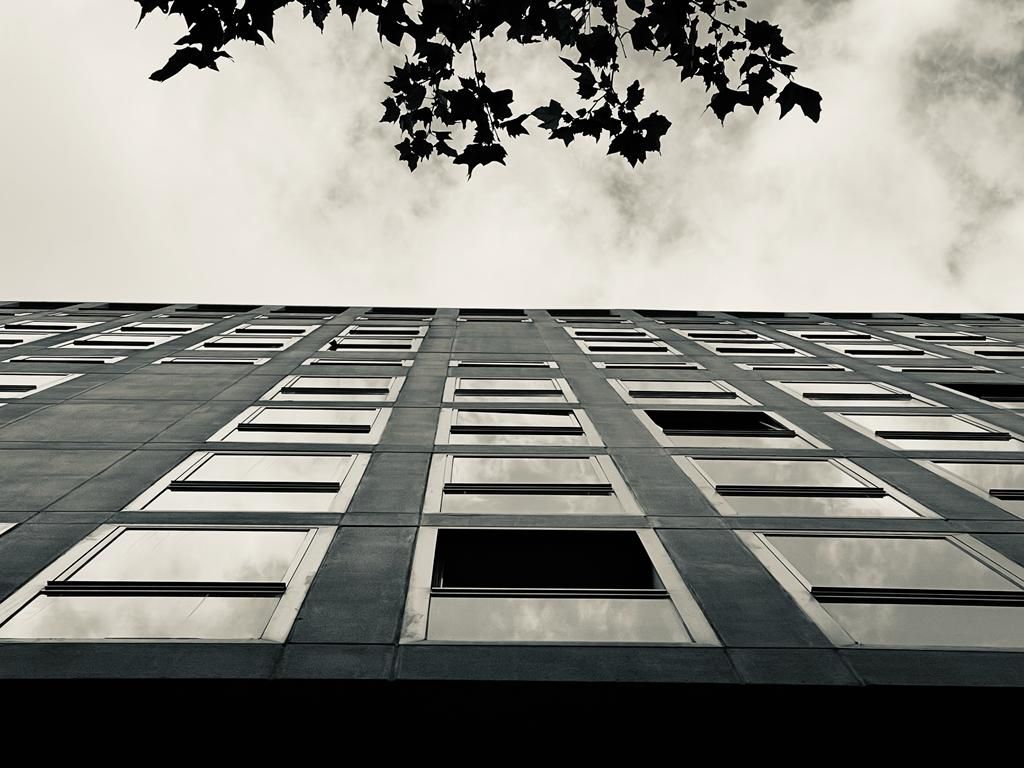 Mirando hacia arriba, se ve un edificio alto y gris con muchas ventanas y ramas de árboles contra un cielo nublado.
