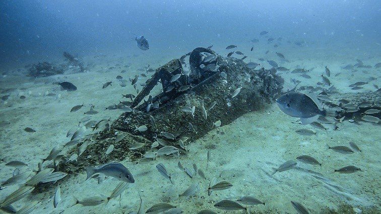 Underwater Marine Archaeology - Baton Rouge, LA - Coastal Environments, Inc. Underwater Marine Archaeology - Baton Rouge, LA - Coastal Environments, Inc.