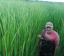 Floral & Faunal Survey - Baton Rouge, LA - Coastal Environments, Inc.