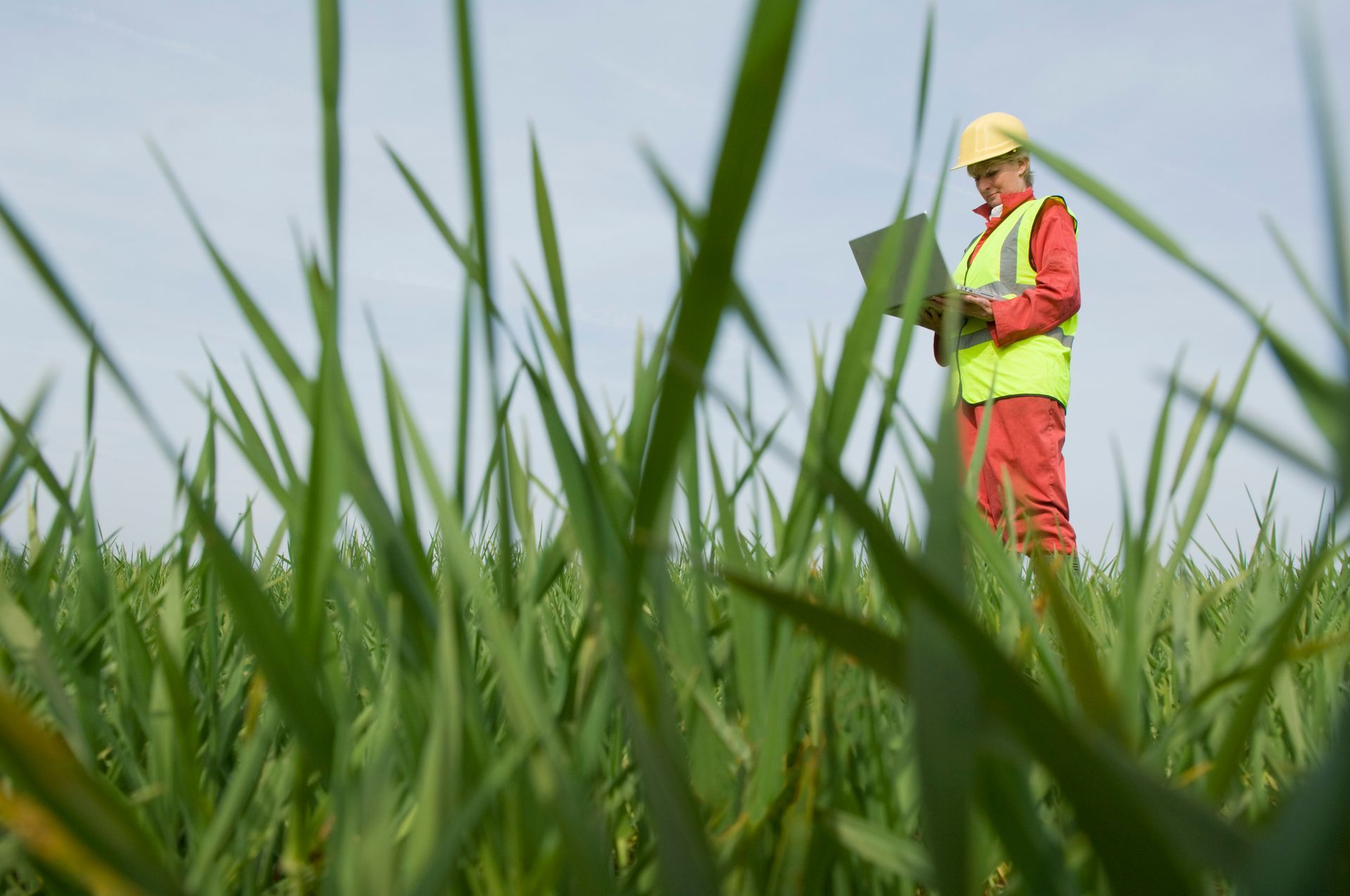 A man is standing in a field of tall grass looking at a clipboard - Baton Rouge, LA - Coastal Environments, Inc. A man is standing in a field of tall grass looking at a clipboard - Baton Rouge, LA - Coastal Environments, Inc.