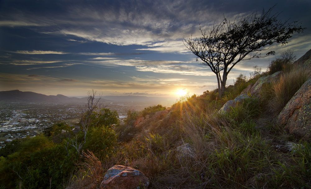 The Sun Is Setting Behind a Tree on Top of A Hill — Iconic Construction Industries in Townsville, QLD