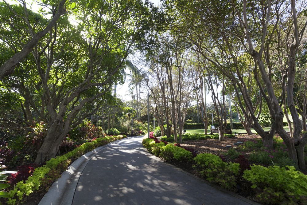 Paved Pathway Through a Lush Green Park With Trees and Shrubbery — Iconic Construction Industries in Charters Towers, QLD