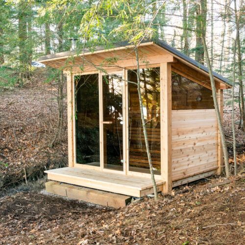 A small wooden shed in the middle of a forest
