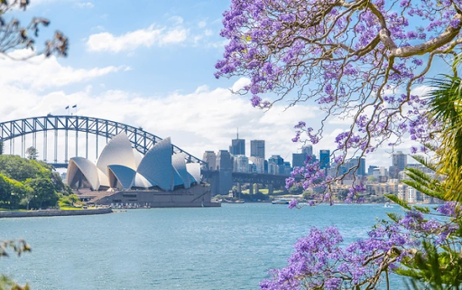 Spring in Sydney: Natural Beauty and Outdoor Activities