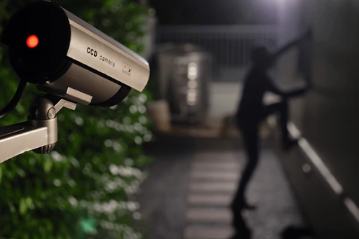 Legal and Privacy Considerations