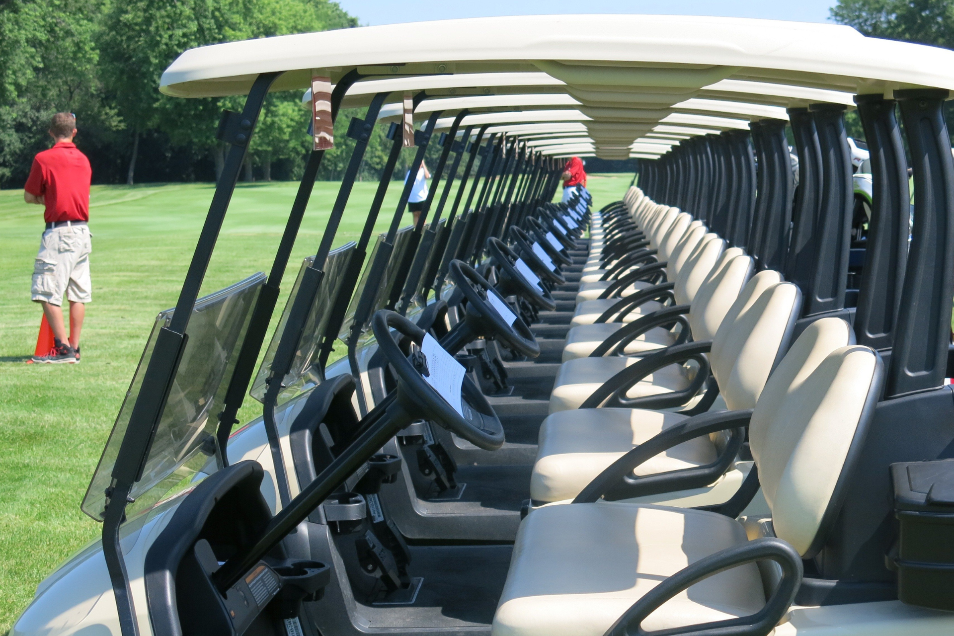 Golf carts lined up on a green, with a person in red shirt standing on the left.