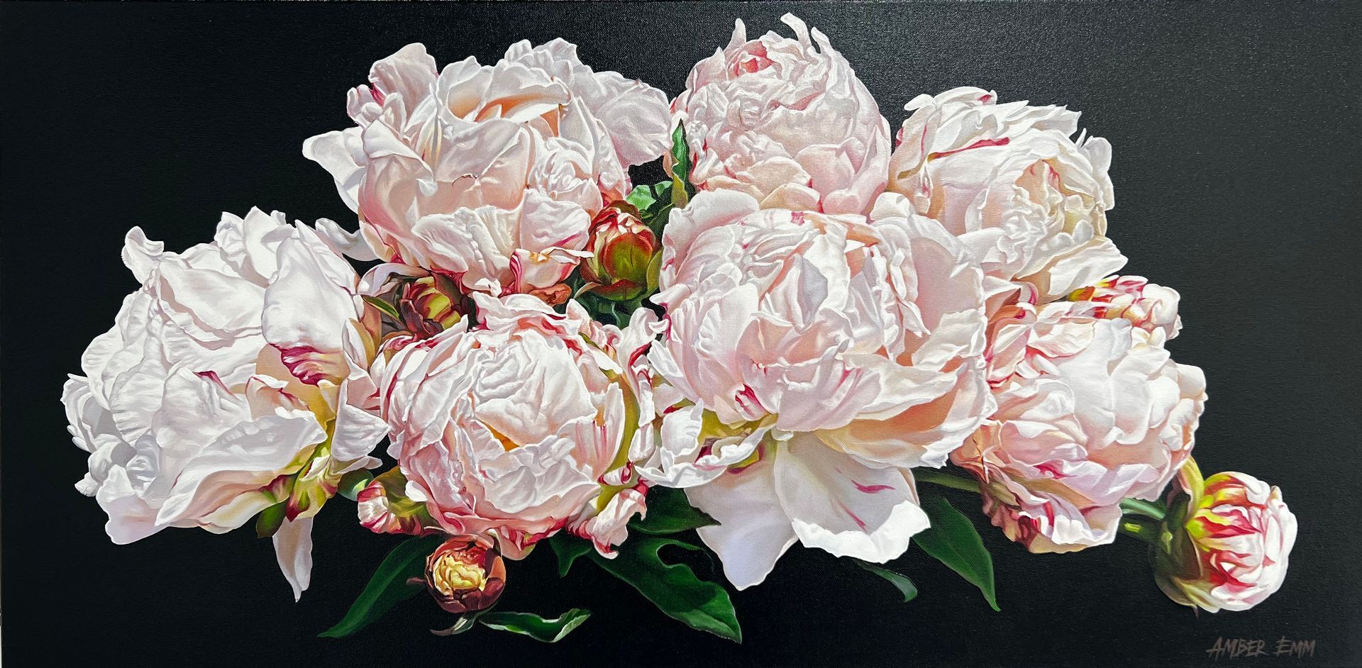 A lush cluster of light pink peony flowers with green leaves set against a solid black background.