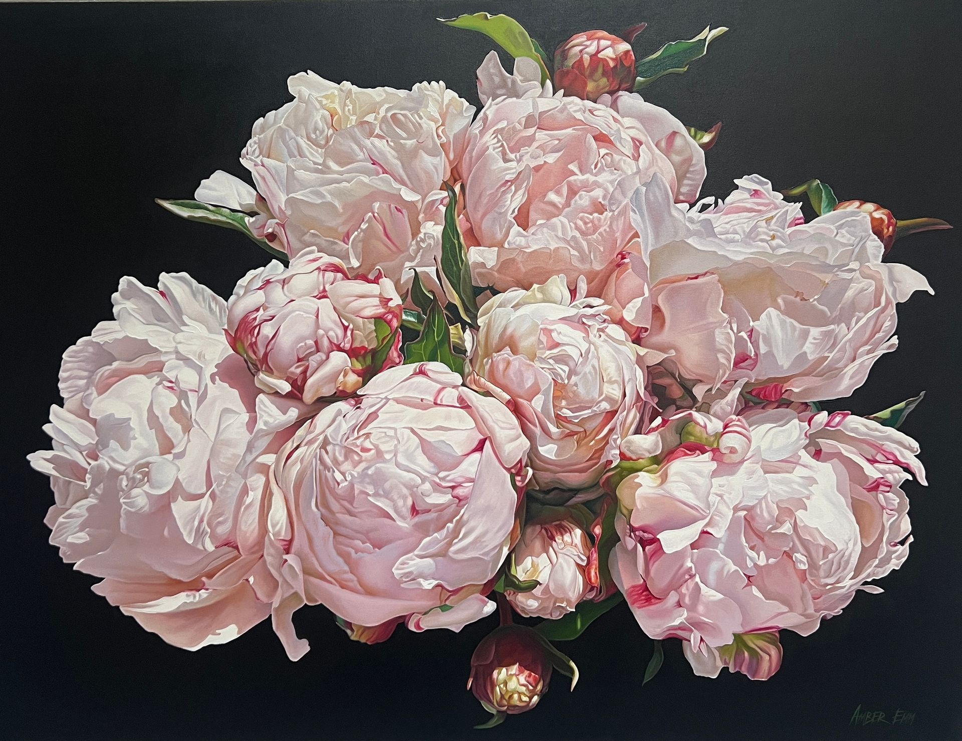 A lush, oil-style painting of pale pink peony blooms and unopened buds clustered together against a solid black background.