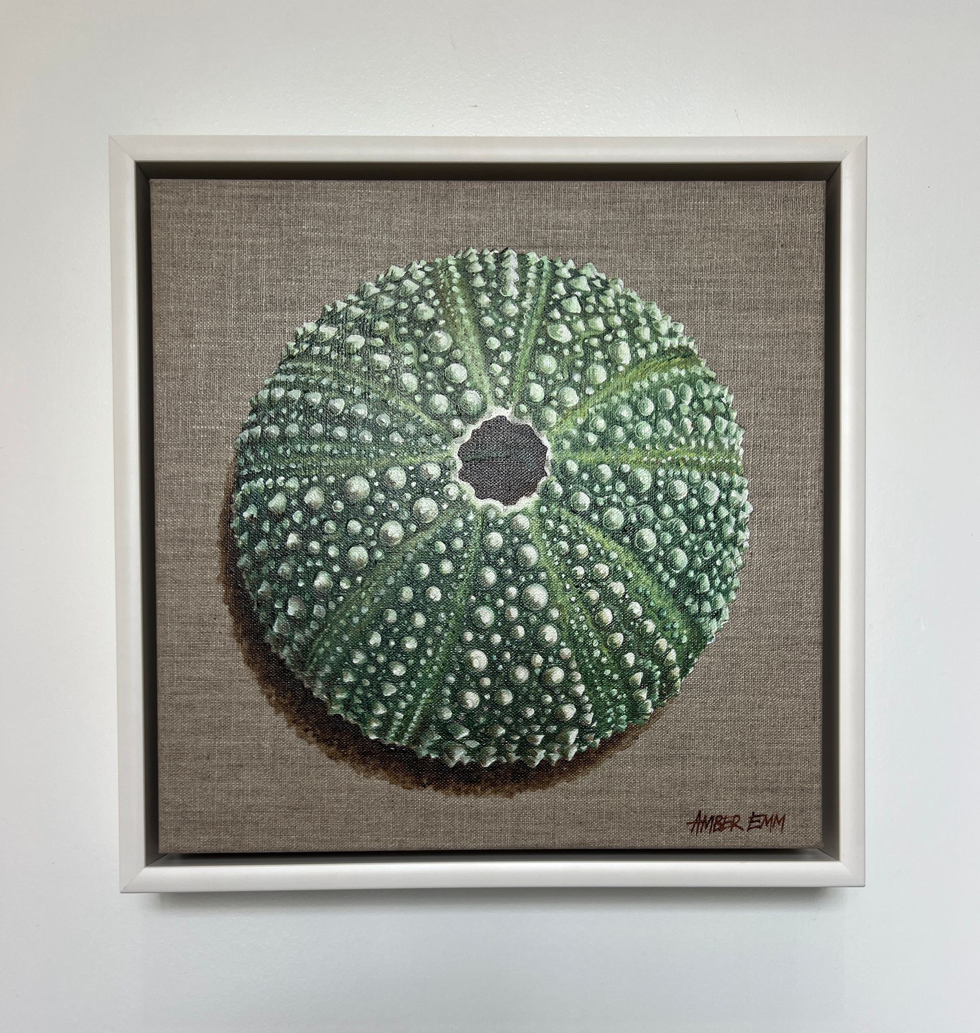 A framed artwork features a detailed, green sea urchin test centered on a textured, grey-brown linen background.
