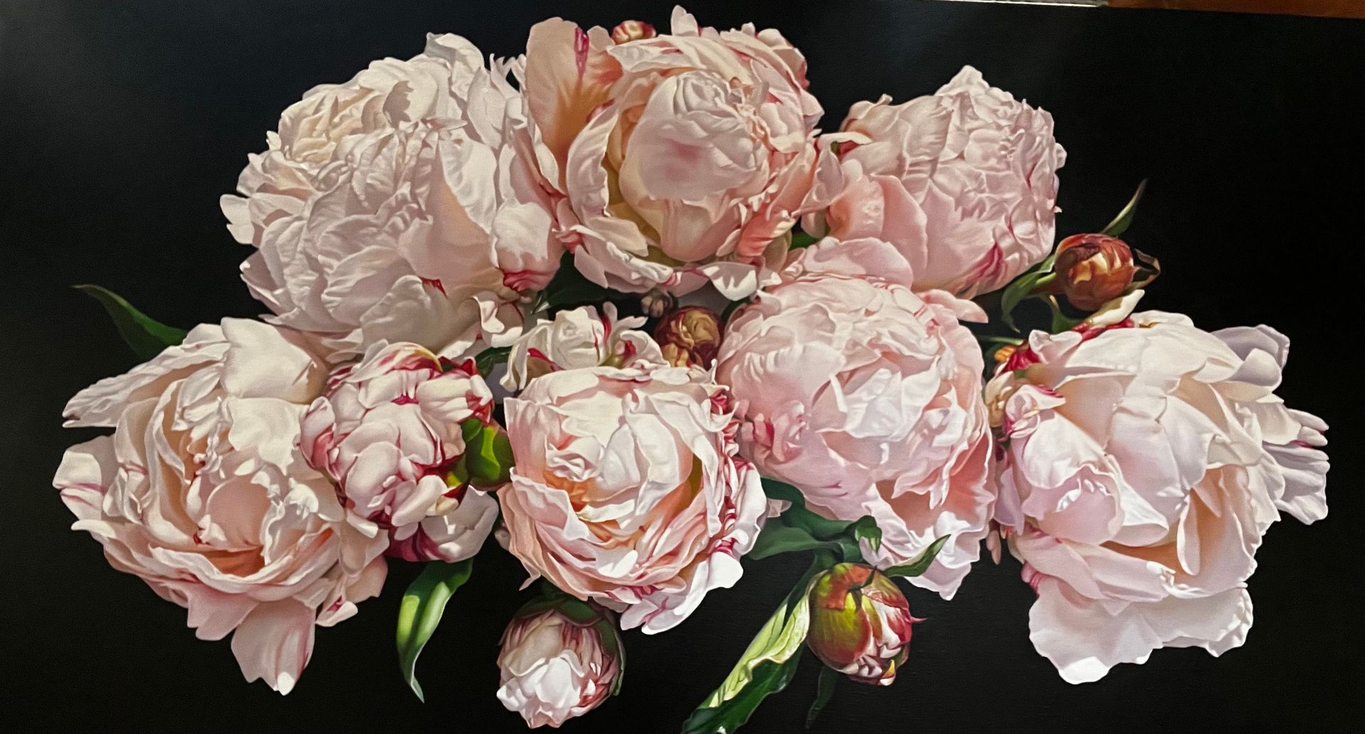 A cluster of soft, light pink peonies in full bloom against a solid black background.