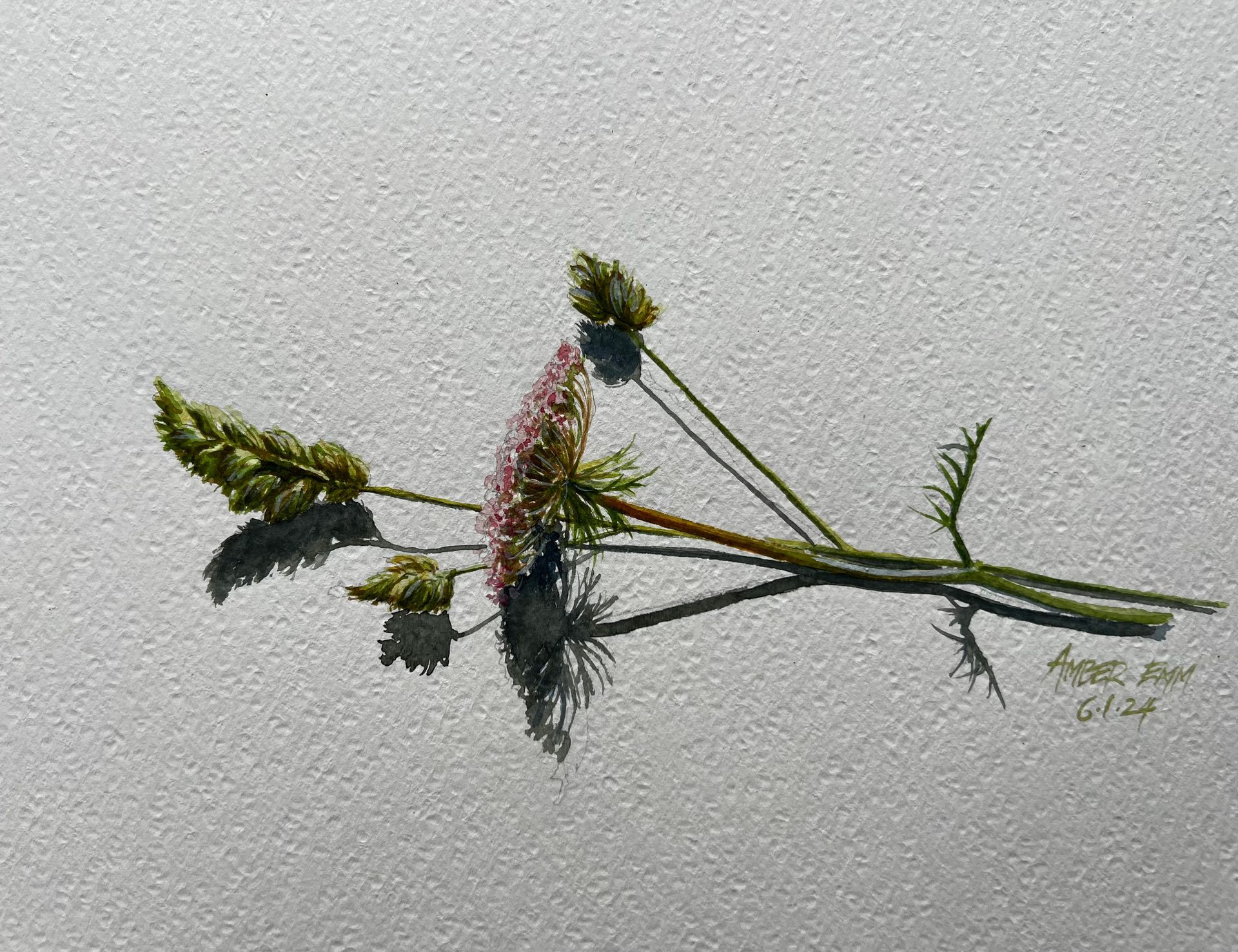 A drawing of a flower with a shadow on a white surface