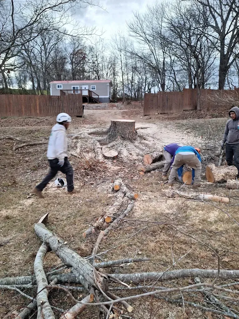 People working in a muddy outdoor site with a large tree stump and fallen branches under bare trees.