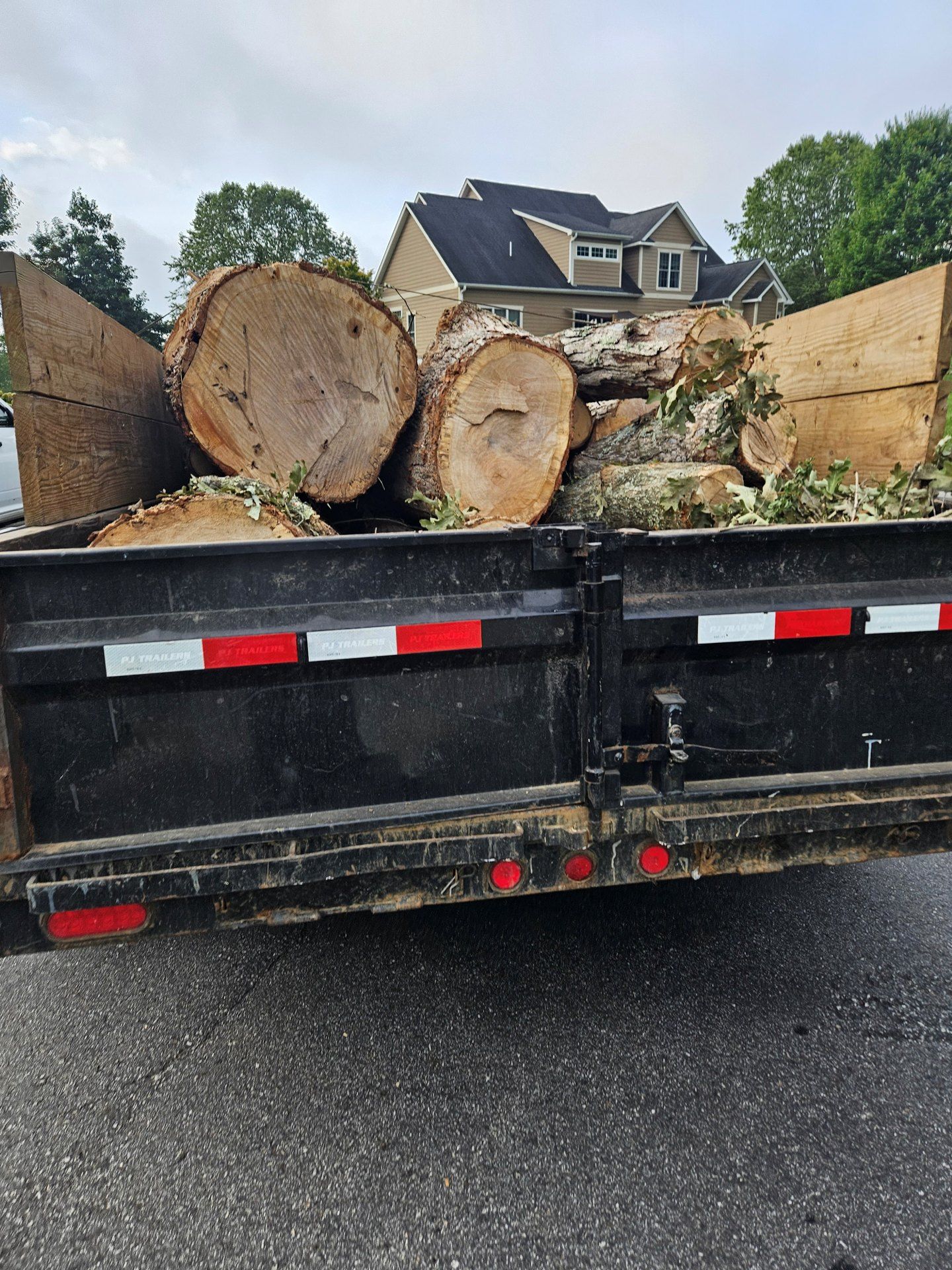 Truck bed loaded with large cut logs on a wet road, with a house and trees in the background