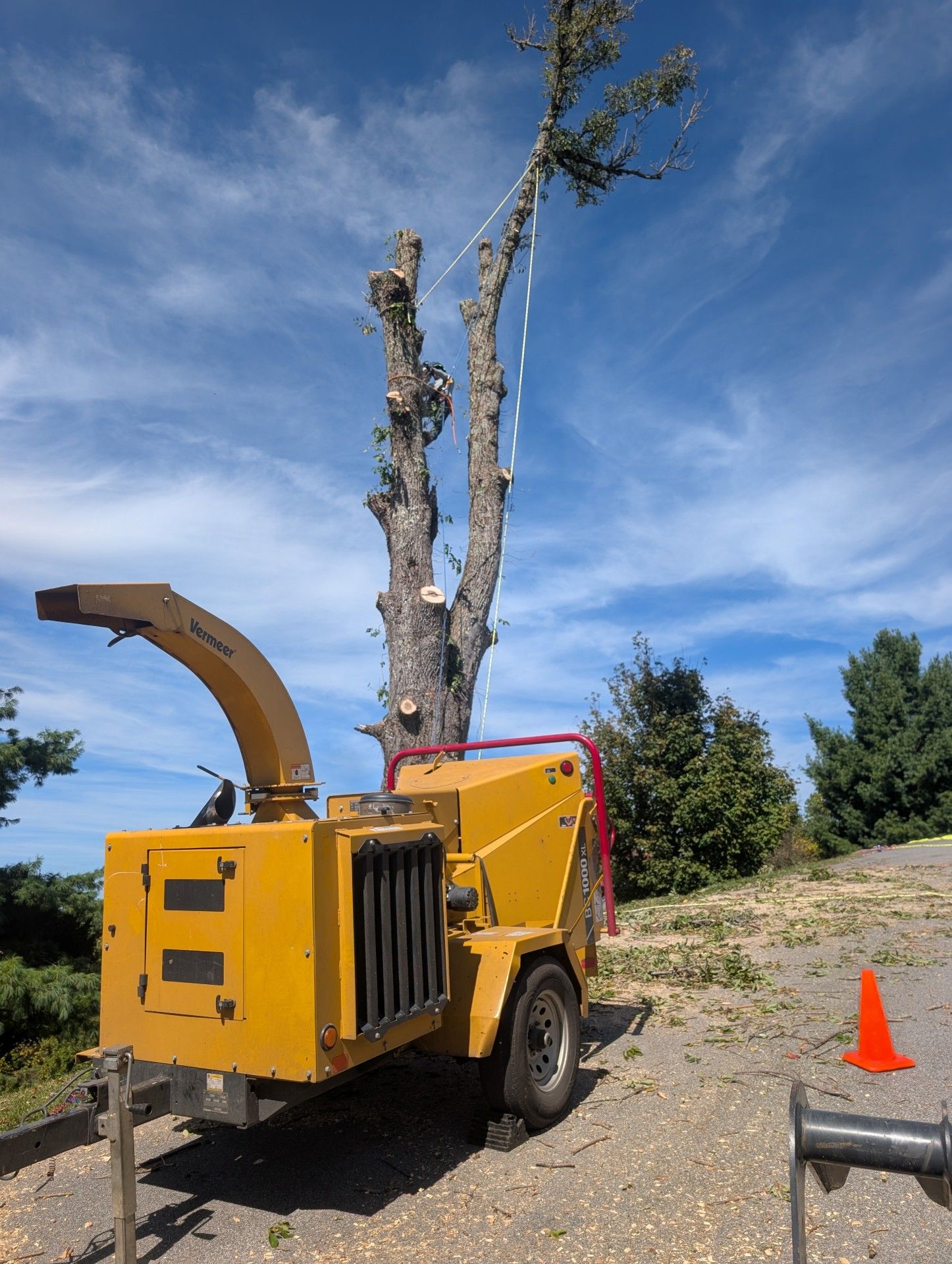 Yellow wood chipper beside a tall tree stump on a dirt slope, with an orange cone nearby.