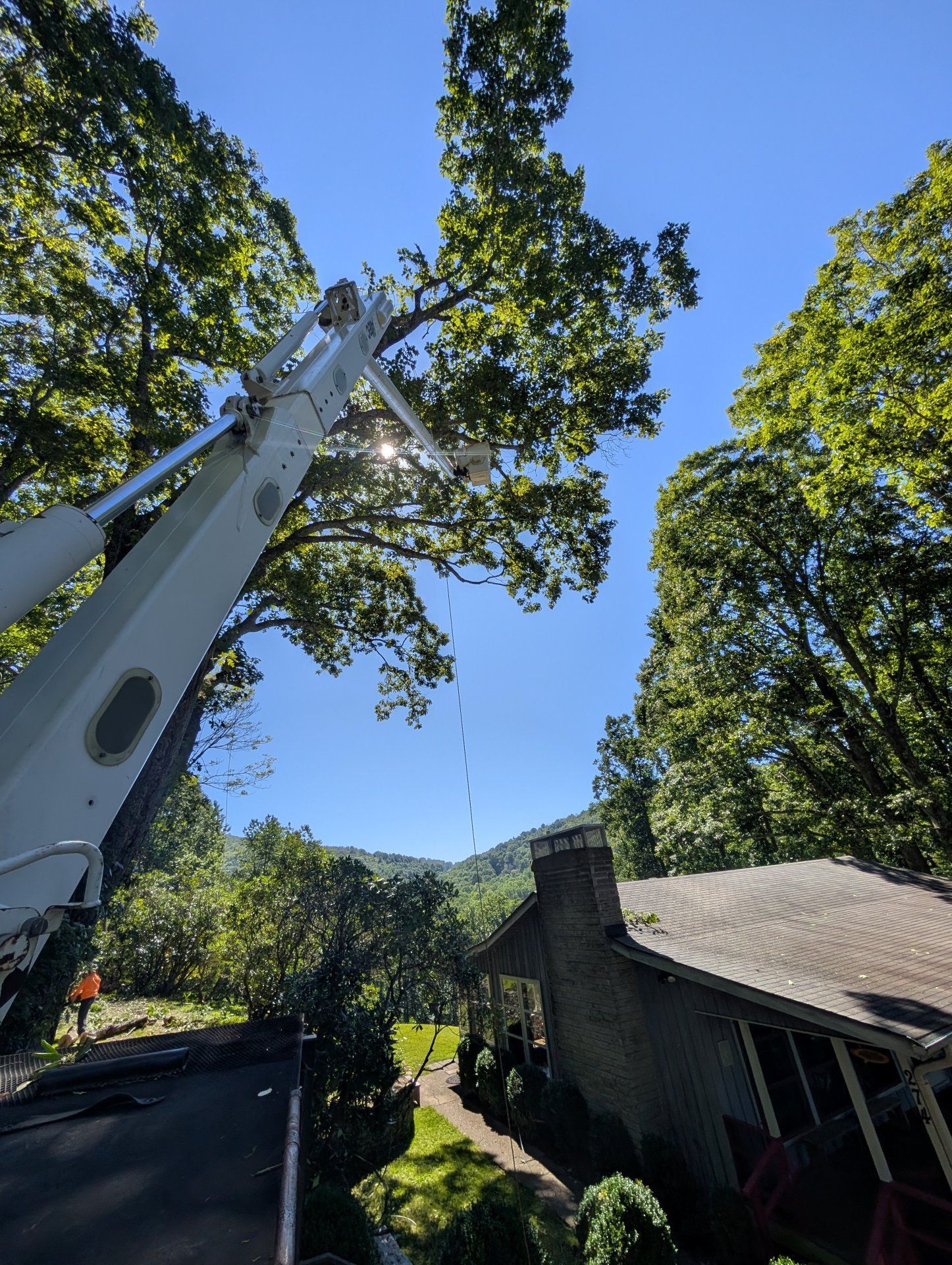 Bucket truck trimming tall trees beside a house on a sunny day