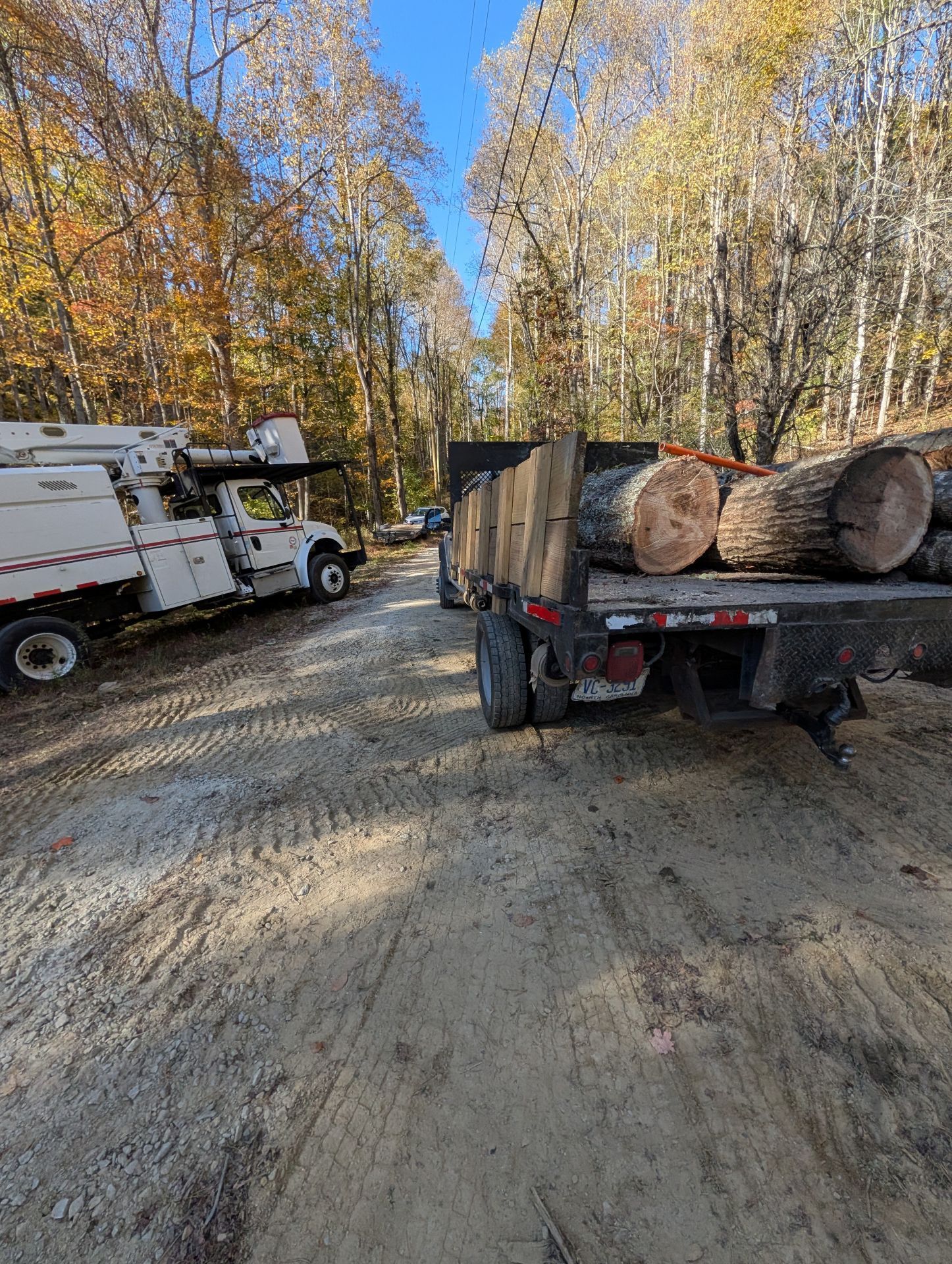 Logging truck with stacked cut logs on a dirt road beside a white utility truck in a wooded area.
