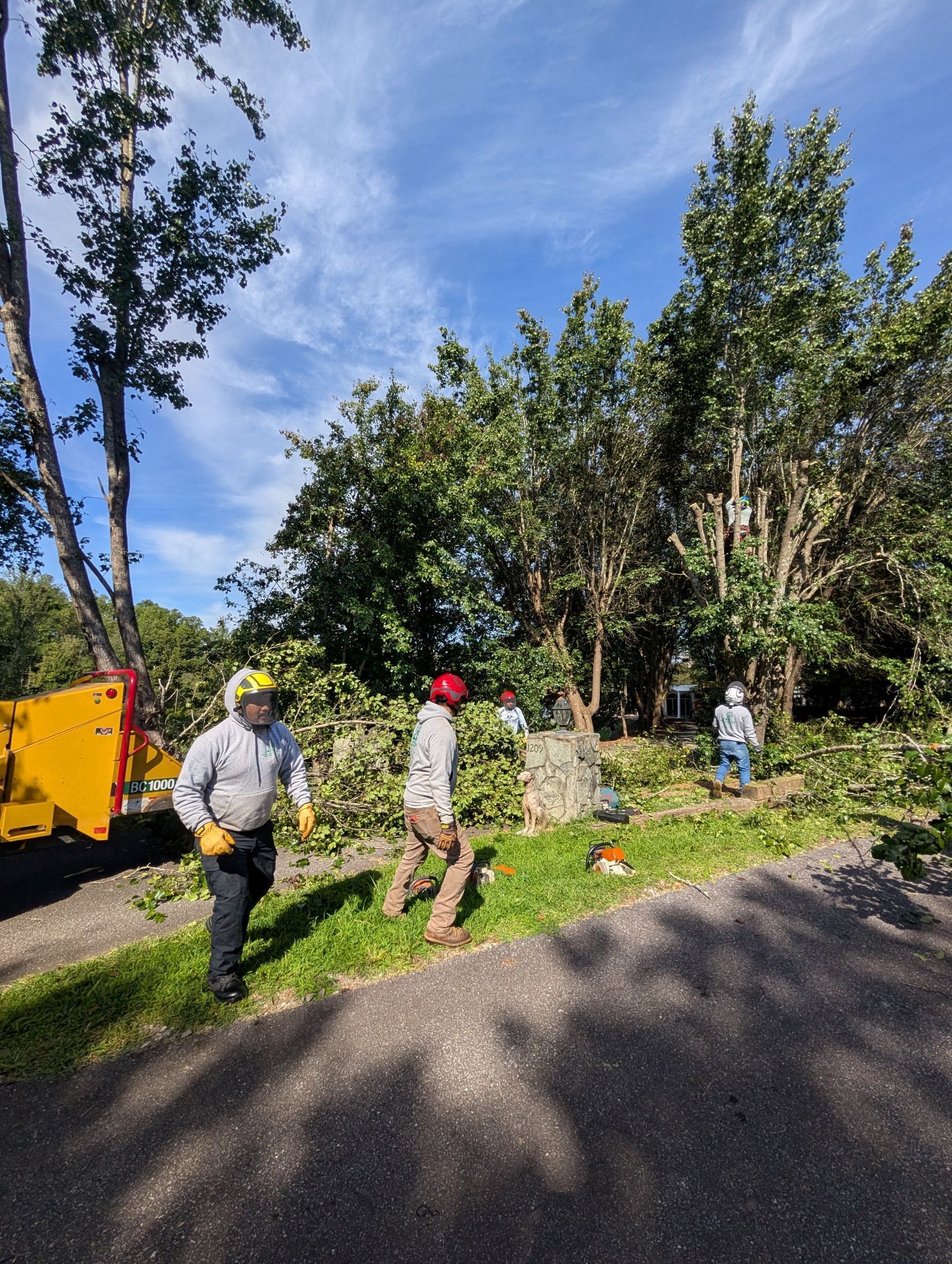 Workers clearing brush along a roadside beside a yellow truck on a sunny day
