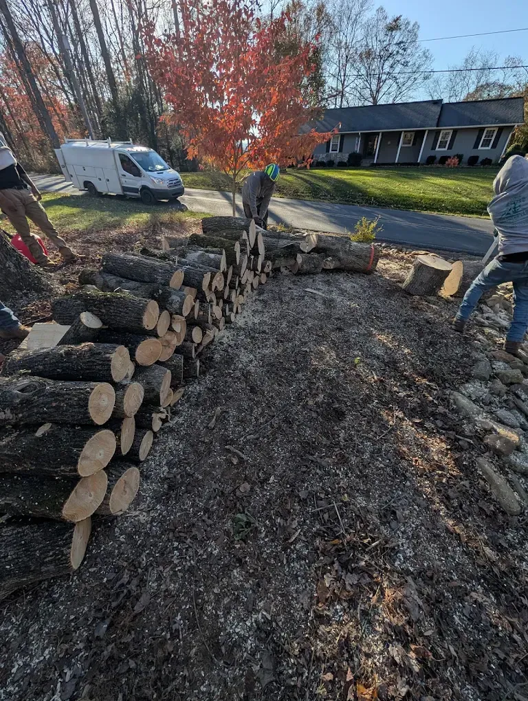 Stacked cut logs beside a gravel path in a yard, with workers and a white van nearby.