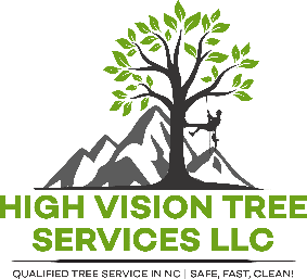 Logo for High Vision Tree Services LLC with tree, mountains, and climber; green and black text.