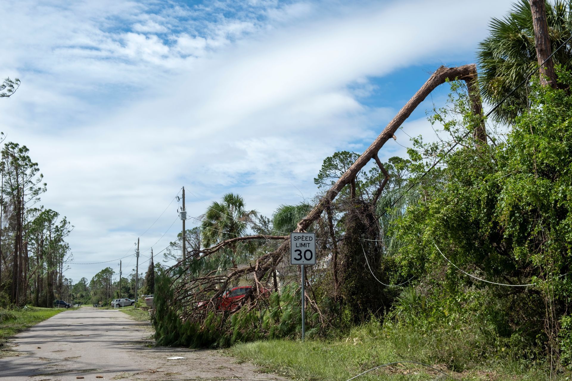 Damaged roadside barrier along a dirt road, with a speed limit sign and overgrown vegetation under a cloudy sky