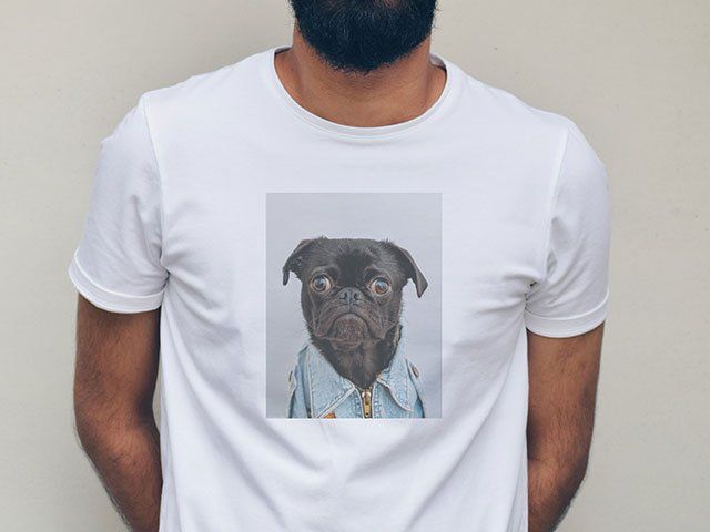 Shop T-shirts