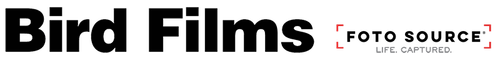 Bird Films logo