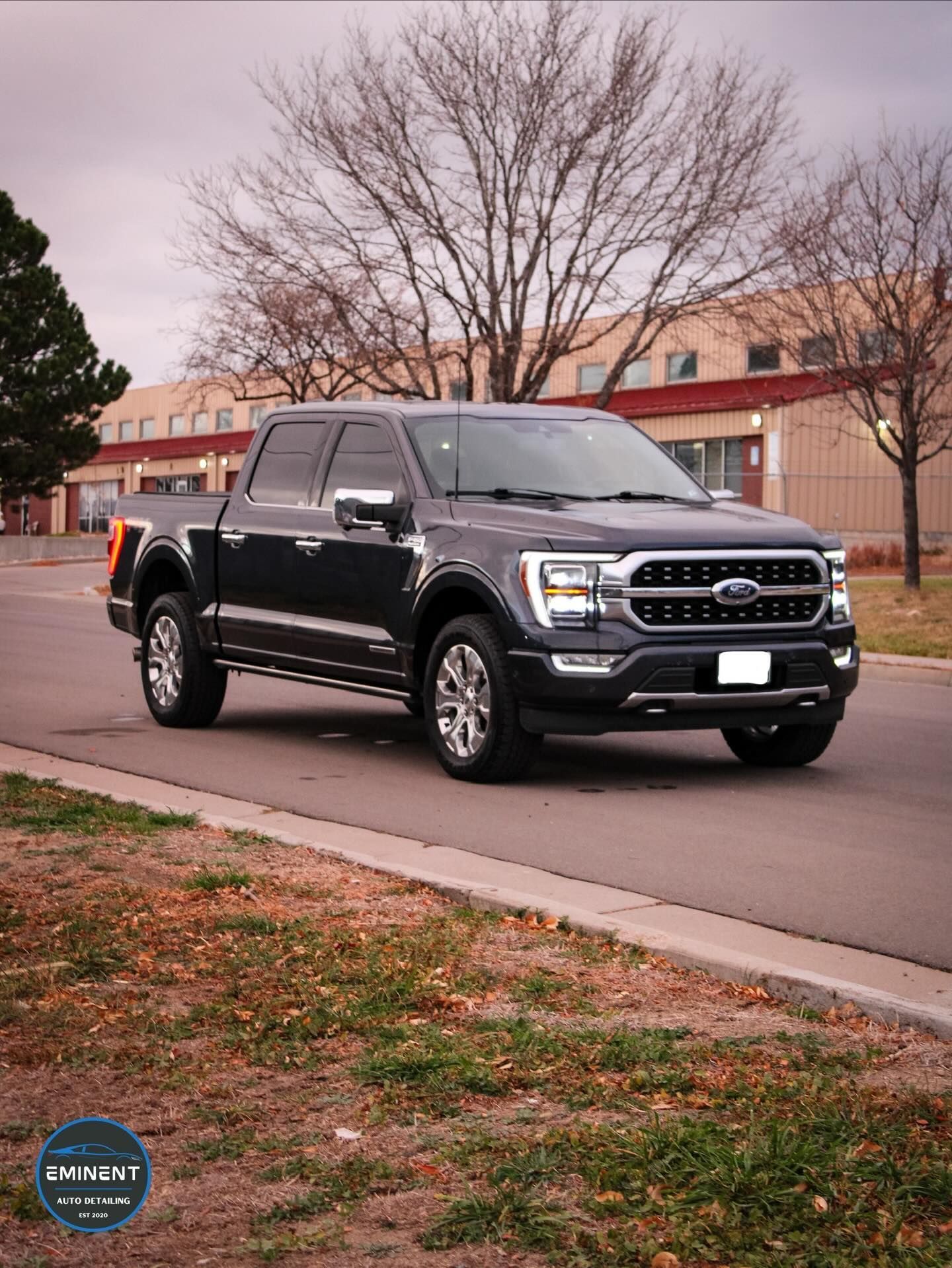 Dark gray Ford F-150 truck parked on a road with a building and bare tree in the background.
