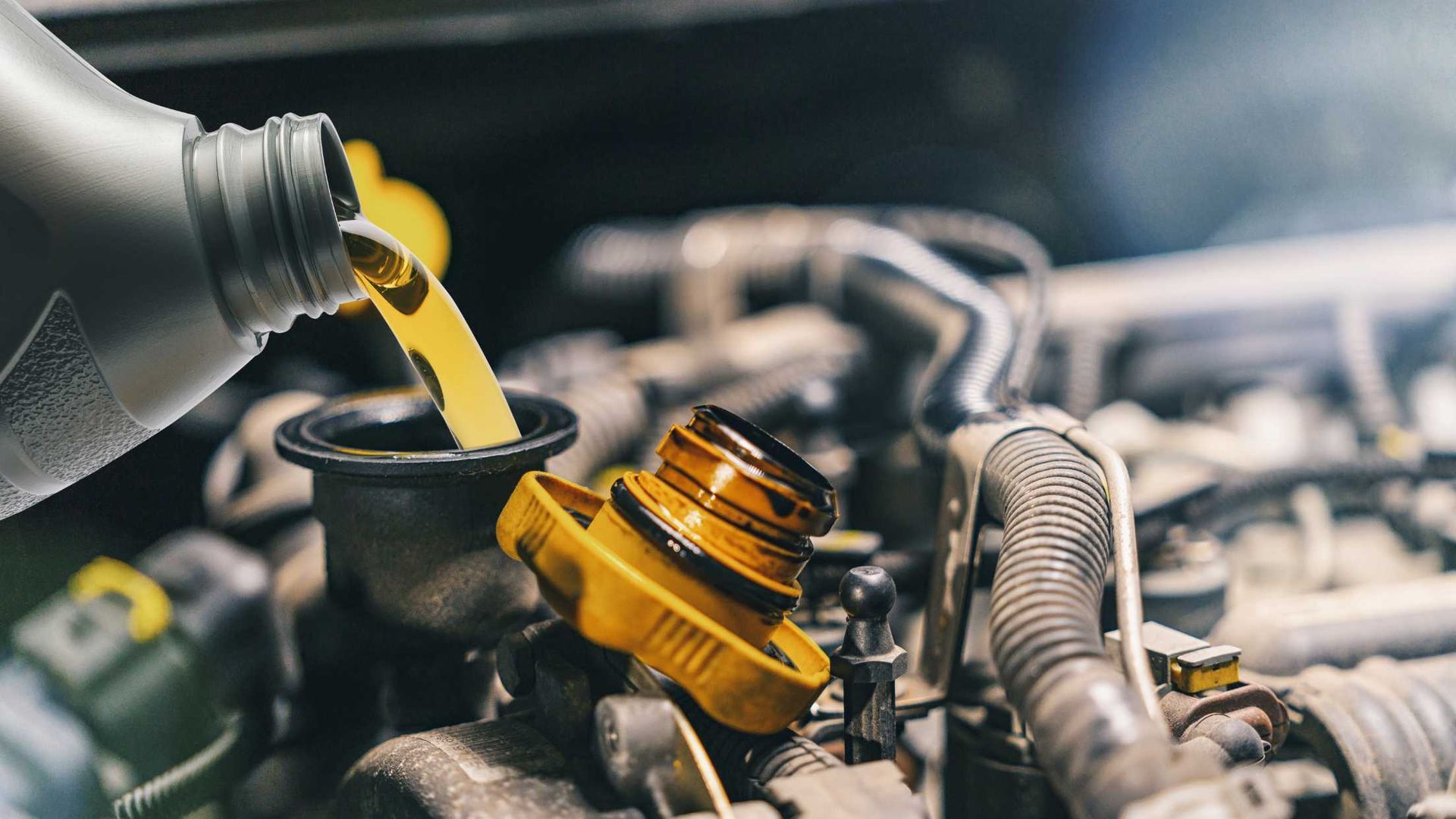 mechanic pouring new oil into a car