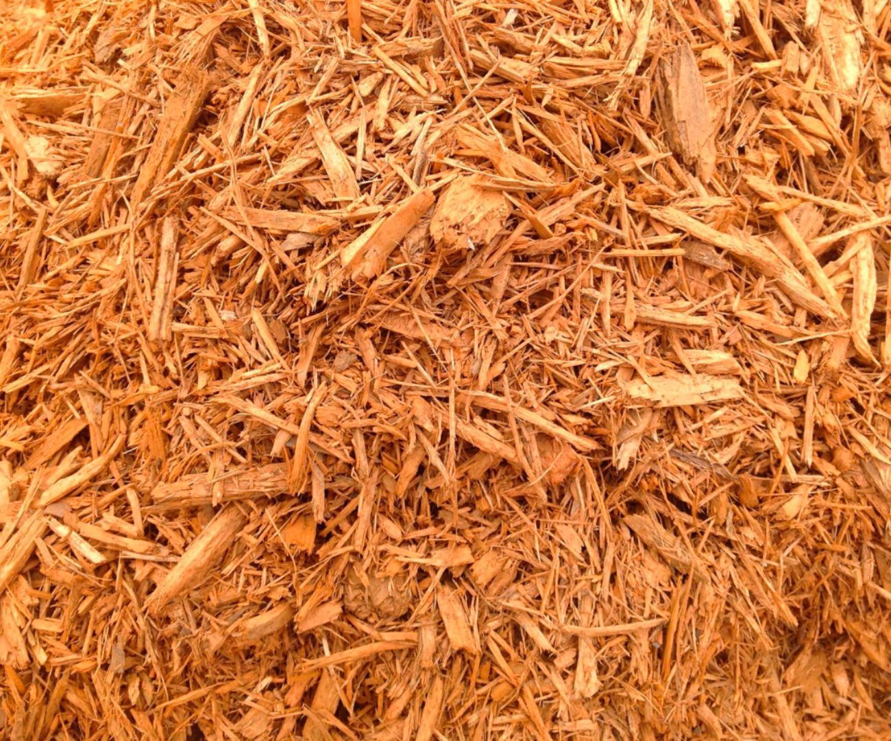 Golden Mulch