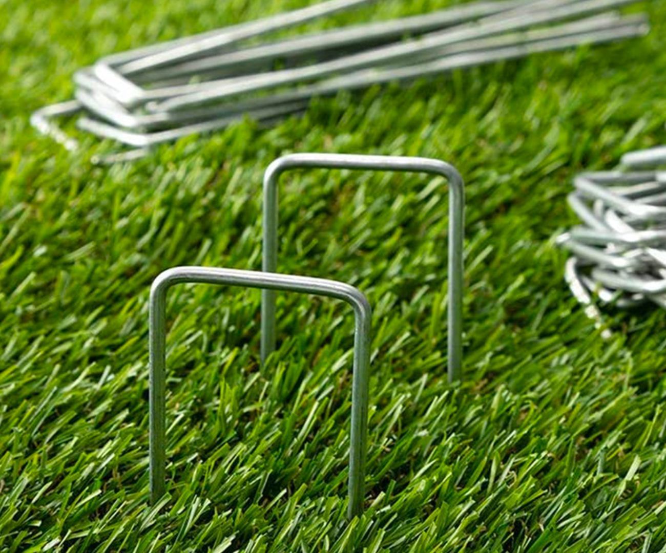 Sod Staples