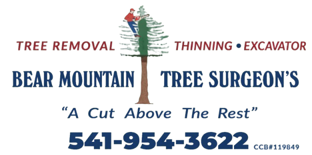 Logo for Bear Mountain Tree Surgeon's featuring a tree climber, services list, phone number 541-954-3622, and tagline.
