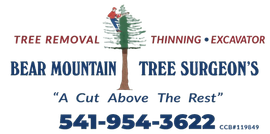 Logo for Bear Mountain Tree Surgeon's featuring a tree climber, services list, phone number 541-954-3622, and tagline.