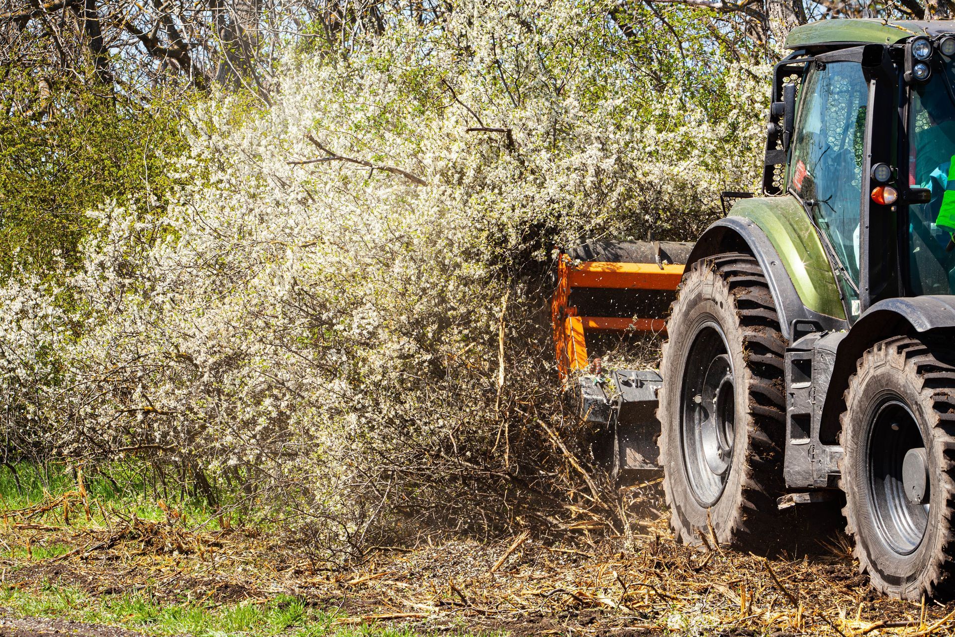 A green tractor uses a mechanical attachment to mulch branches within a flowering orchard.