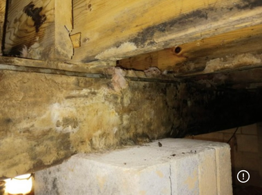 Close-up of a wooden beam resting on a concrete block, showing visible signs of moisture damage, staining, and rot.