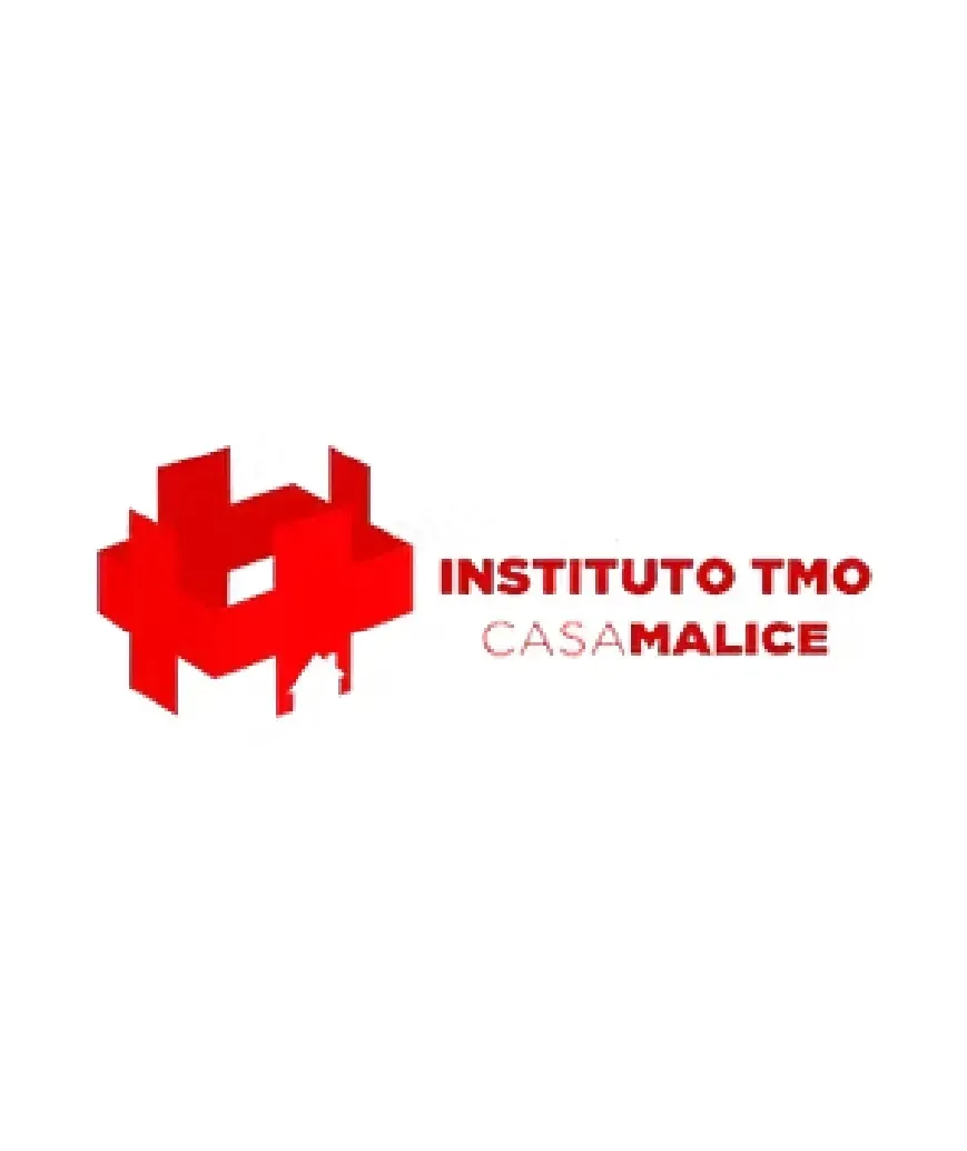 Logotipo vermelho e texto com a inscrição “INSTITUTO TMO CASAMALICE” sobre fundo branco.