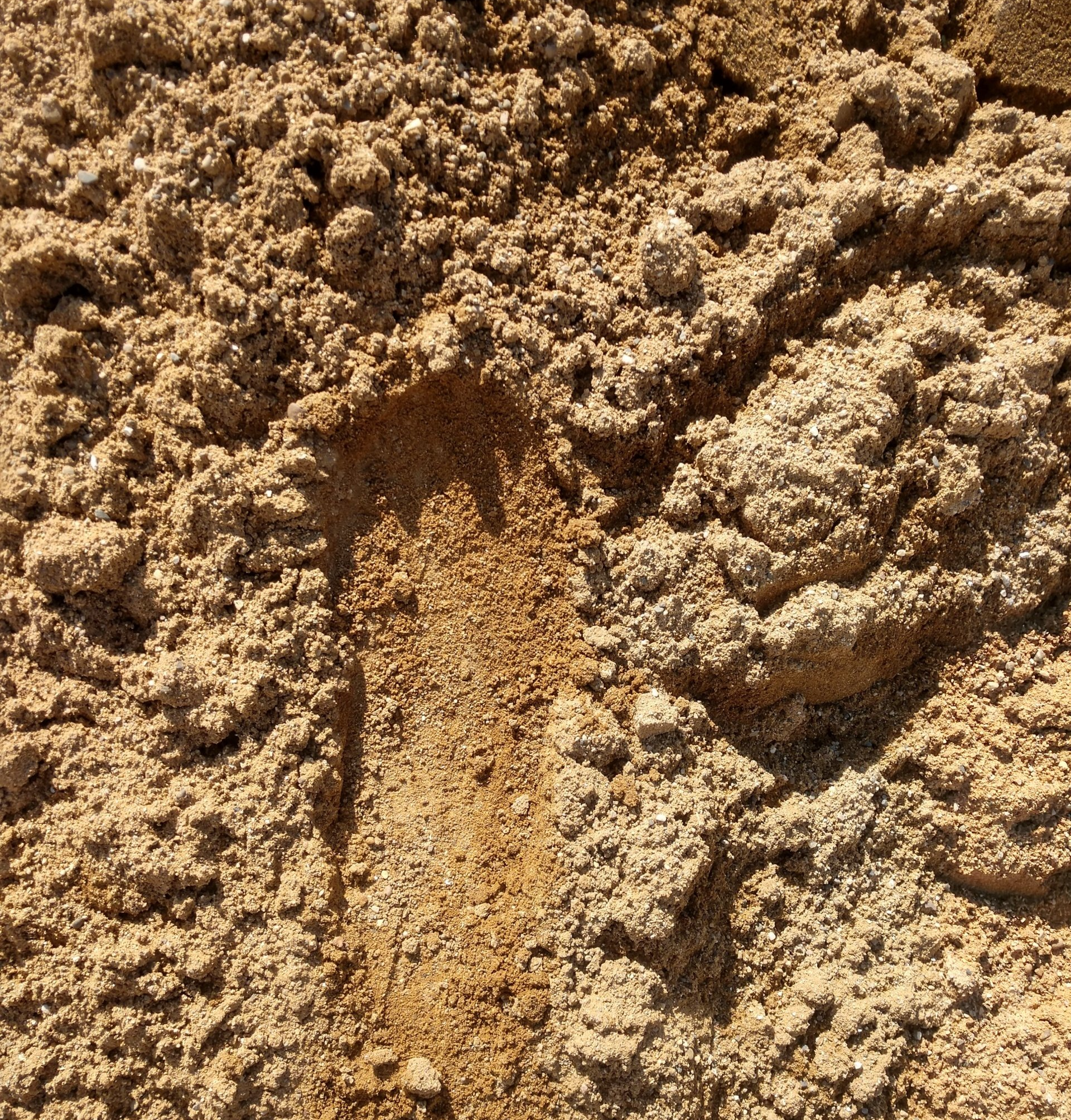 Compaction Soil — Delton, MI — Carpenter Gravel Inc