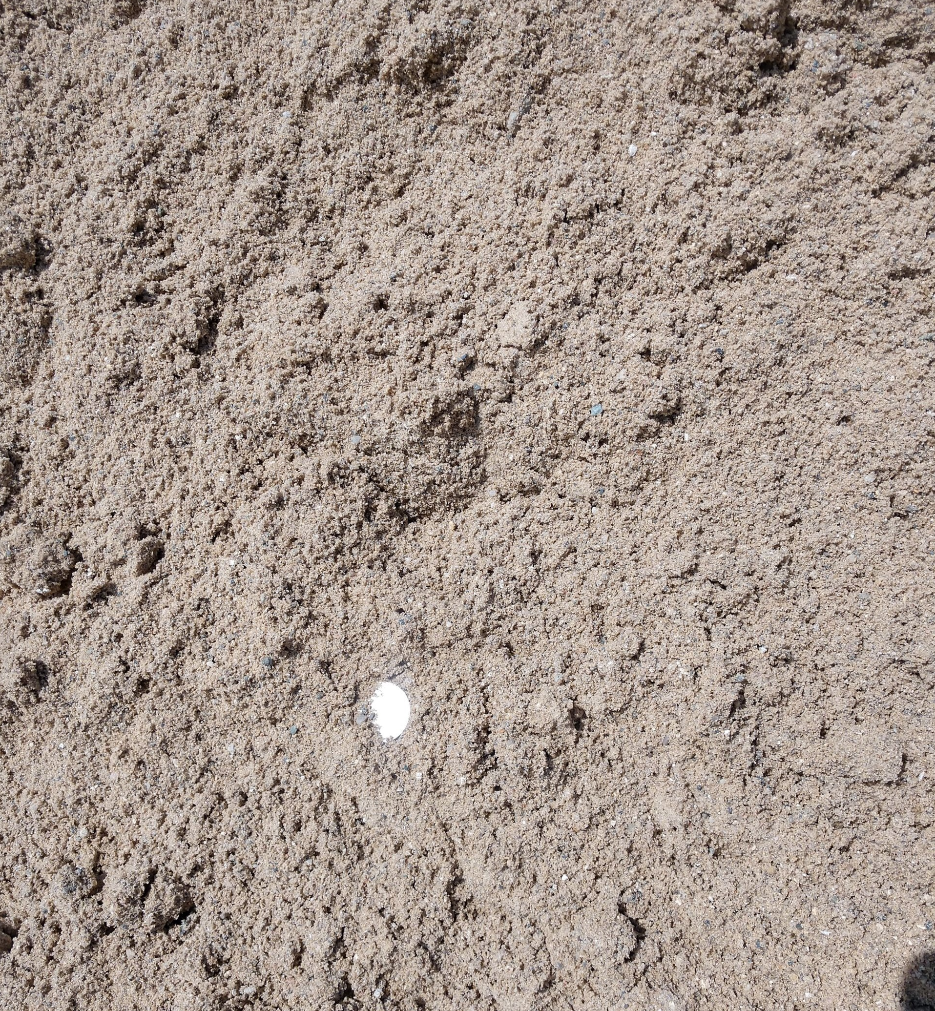 Washed Sand — Delton, MI — Carpenter Gravel Inc