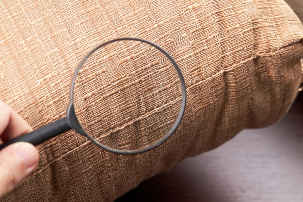 A Person Is Holding A Magnifying Glass Over A Pillow — ASAP Pest Control in Beaudesert, QLD