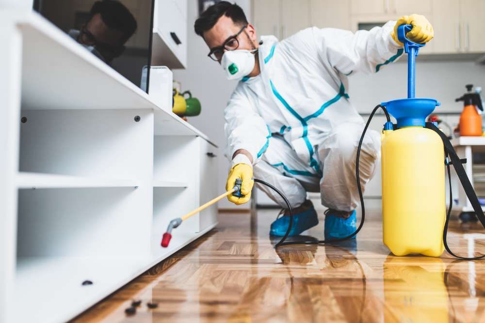 A Man In A Protective Suit Is Spraying Insecticide In A Living Room  — ASAP Pest Control in Bundall, QLD