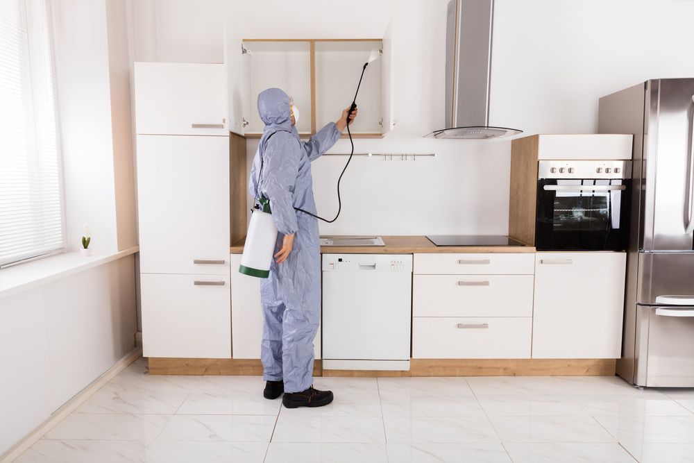 A Man In A Protective Suit Is Spraying A Kitchen With A Sprayer — ASAP Pest Control in Brookwater, QLD