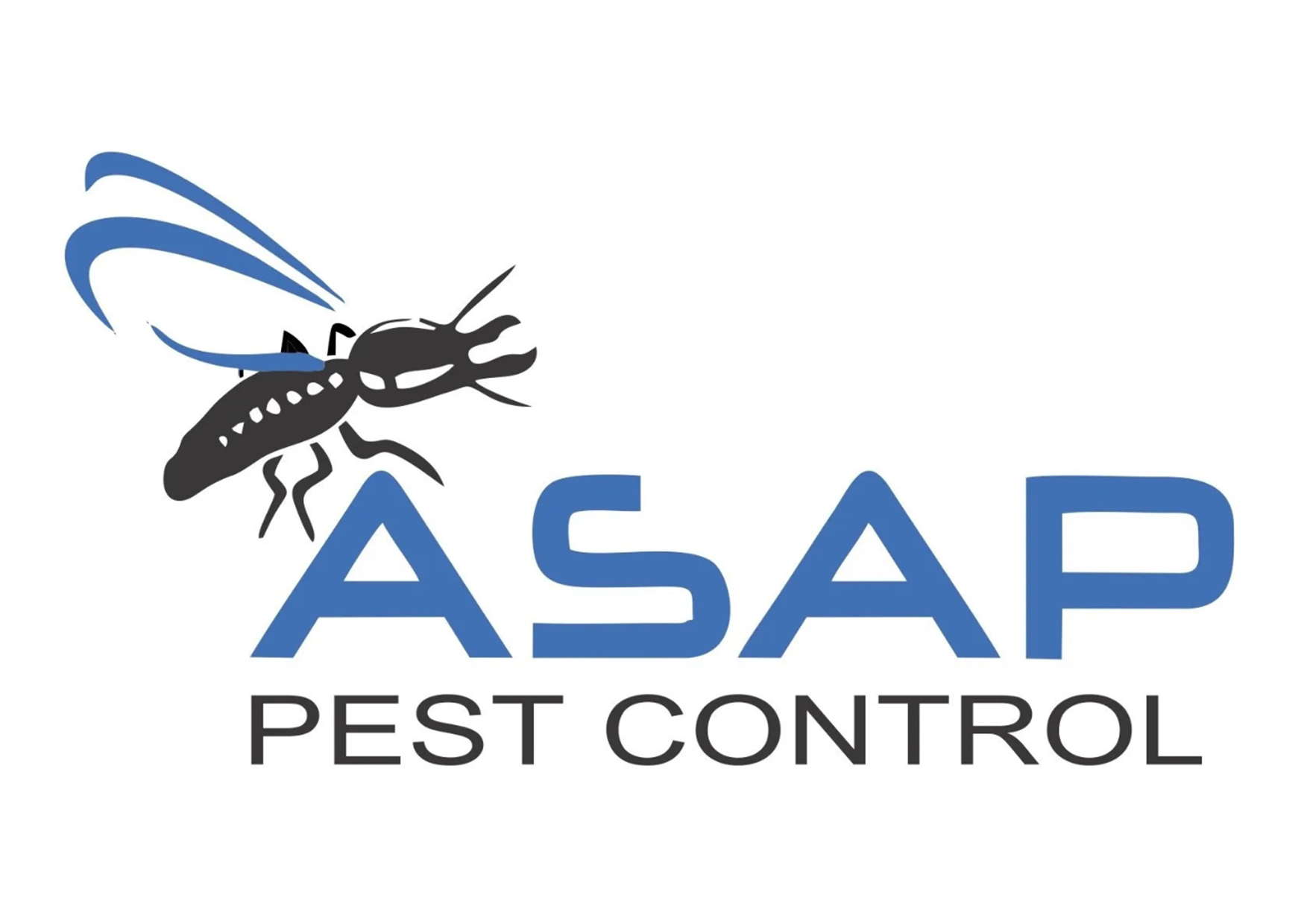 ASAP Pest Control: Providing Quality Pest Control Services in South East QLD ASAP Pest Control: Providing Quality Pest Control Services in South East QLD