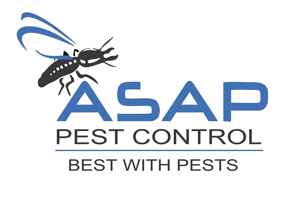 ASAP Pest Control: Providing Quality Pest Control Services in South East QLD ASAP Pest Control: Providing Quality Pest Control Services in South East QLD