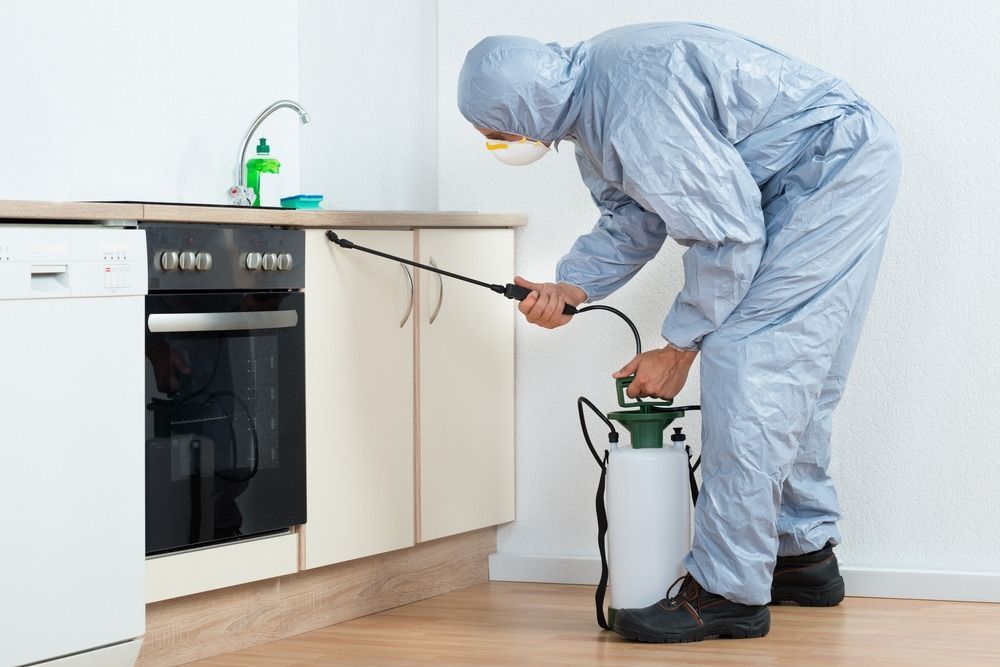 A Man In A Protective Suit Is Spraying A Kitchen With A Sprayer — ASAP Pest Control in Pallara, QLD