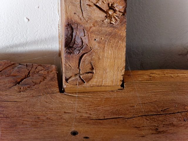 A Close Up Of A Piece Of Wood With A Clock Carved Into It — ASAP Pest Control in Logan, QLD