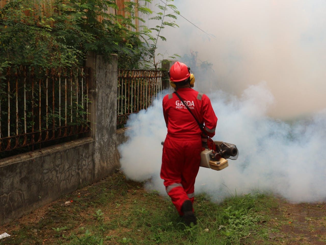 A Man In A Red Jumpsuit Is Spraying Smoke In A Yard — ASAP Pest Control in Carindale, QLD